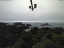 ./images/calvert/lookout/20210801/lookout20210801_143501.jpg