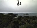 ./images/calvert/lookout/20210801/lookout20210801_145501.jpg