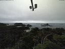./images/calvert/lookout/20210801/lookout20210801_151001.jpg