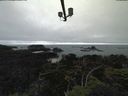 ./images/calvert/lookout/20210801/lookout20210801_160502.jpg