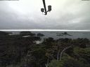 ./images/calvert/lookout/20210801/lookout20210801_173501.jpg