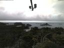 ./images/calvert/lookout/20210802/lookout20210802_061002.jpg