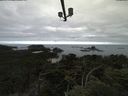 ./images/calvert/lookout/20210802/lookout20210802_085001.jpg