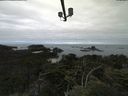 ./images/calvert/lookout/20210802/lookout20210802_101002.jpg