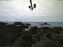 ./images/calvert/lookout/20210802/lookout20210802_105501.jpg