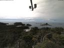 ./images/calvert/lookout/20210802/lookout20210802_135501.jpg