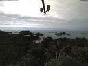 ./images/calvert/lookout/20210802/lookout20210802_150501.jpg