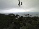 ./images/calvert/lookout/20210803/lookout20210803_081002.jpg