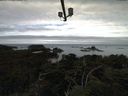 ./images/calvert/lookout/20210803/lookout20210803_091501.jpg