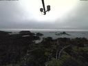 ./images/calvert/lookout/20210803/lookout20210803_183501.jpg