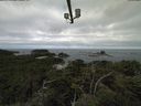 ./images/calvert/lookout/20210804/lookout20210804_095502.jpg