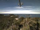 ./images/calvert/lookout/20210804/lookout20210804_105501.jpg