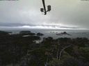 ./images/calvert/lookout/20210804/lookout20210804_201002.jpg