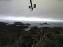 ./images/calvert/lookout/20210804/lookout20210804_211001.jpg