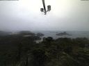 ./images/calvert/lookout/20210805/lookout20210805_062502.jpg