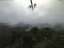 ./images/calvert/lookout/20210805/lookout20210805_081002.jpg