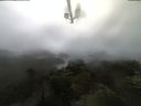 ./images/calvert/lookout/20210805/lookout20210805_083502.jpg