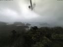 ./images/calvert/lookout/20210805/lookout20210805_085501.jpg