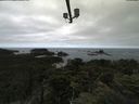 ./images/calvert/lookout/20210805/lookout20210805_105501.jpg