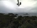./images/calvert/lookout/20210806/lookout20210806_140501.jpg