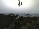 ./images/calvert/lookout/20210806/lookout20210806_171502.jpg