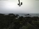 ./images/calvert/lookout/20210806/lookout20210806_172501.jpg