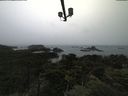 ./images/calvert/lookout/20210806/lookout20210806_174501.jpg