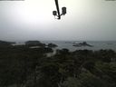 ./images/calvert/lookout/20210806/lookout20210806_175001.jpg