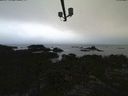 ./images/calvert/lookout/20210806/lookout20210806_202001.jpg
