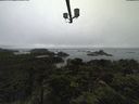 ./images/calvert/lookout/20210807/lookout20210807_084002.jpg