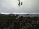 ./images/calvert/lookout/20210807/lookout20210807_114001.jpg