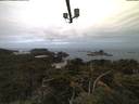 ./images/calvert/lookout/20210809/lookout20210809_055501.jpg