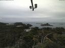 ./images/calvert/lookout/20210809/lookout20210809_081501.jpg