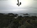 ./images/calvert/lookout/20210809/lookout20210809_092502.jpg