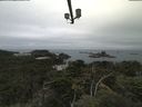 ./images/calvert/lookout/20210809/lookout20210809_094002.jpg