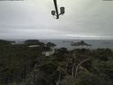 ./images/calvert/lookout/20210809/lookout20210809_101501.jpg