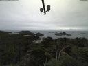 ./images/calvert/lookout/20210809/lookout20210809_102001.jpg