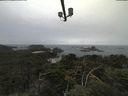 ./images/calvert/lookout/20210809/lookout20210809_105501.jpg