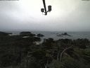 ./images/calvert/lookout/20210809/lookout20210809_135501.jpg