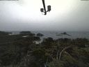 ./images/calvert/lookout/20210809/lookout20210809_140501.jpg