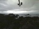 ./images/calvert/lookout/20210809/lookout20210809_172502.jpg