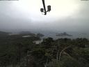 ./images/calvert/lookout/20210809/lookout20210809_201501.jpg