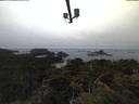 ./images/calvert/lookout/20210810/lookout20210810_055501.jpg