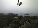 ./images/calvert/lookout/20210810/lookout20210810_083502.jpg