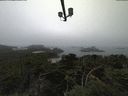 ./images/calvert/lookout/20210810/lookout20210810_085002.jpg