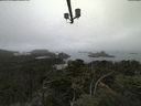 ./images/calvert/lookout/20210810/lookout20210810_090502.jpg