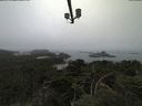 ./images/calvert/lookout/20210810/lookout20210810_091501.jpg
