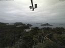 ./images/calvert/lookout/20210810/lookout20210810_104002.jpg