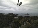 ./images/calvert/lookout/20210810/lookout20210810_115501.jpg