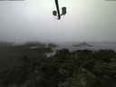 ./images/calvert/lookout/20210811/lookout20210811_054502.jpg